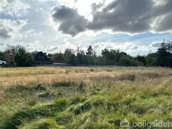 En græsmark strækker sig under en dramatisk himmel med skyer; i baggrunden ses et hus blandt træer. Det naturlige landskab giver indtryk af fred og rummelighed.