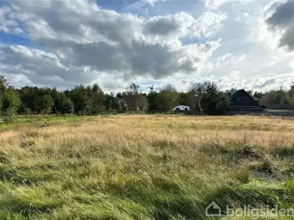 En åben mark med højt græs strækker sig mod en baggrund af træer under en himmel med spredte skyer. En hvid bil er delvist skjult bag et hus.