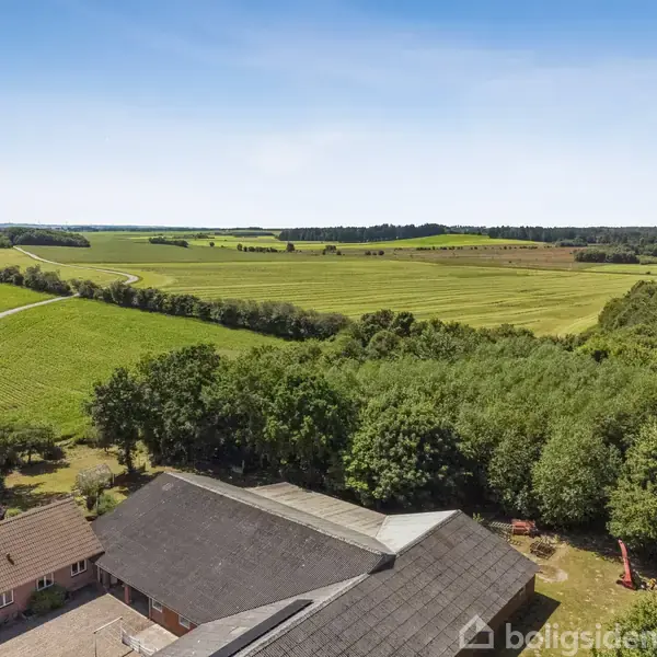 Tagete, set oppefra, står tæt på en skov, omgivet af grønne marker og en snoet vej langs venstre side. Blå himmel strækker sig over det landlige landskab.