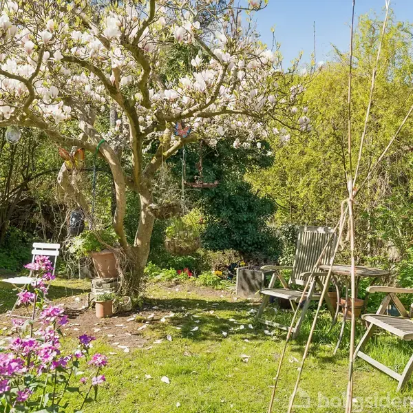 Et træ med lyserøde blomster står i blomst i en frodig have. To træstole og et bord er placeret på græsplænen, omgivet af buske og farverige blomster.