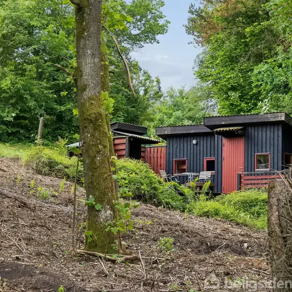 Sort-rødt træhus står på en bakket skovklædt grund. Huset har en enkel, moderne stil med store vinduer. Omkringliggende træer skaber en tæt, frodig skovstemning.