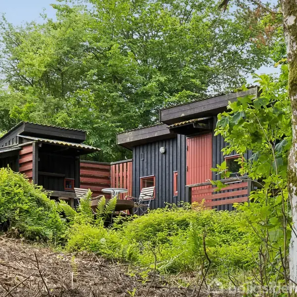 Et sort træsommerhus med en lille terrasse står stille blandt tæt grønt løv og buske. Omkring huset ses skovområde med forskellige træer og naturlige vegetationer.