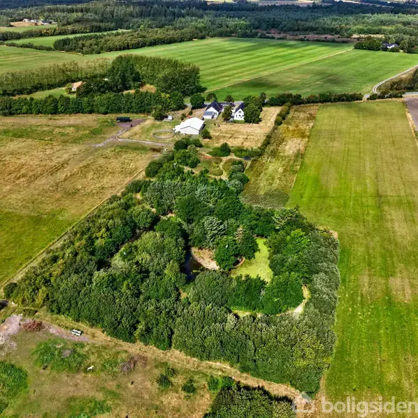 En tæt klynge træer vokser midt i landbrugsjorder, omkranset af marker og spredte bygninger i baggrunden. Åben himmel og grønne marker dominerer landskabet, forstærker naturens vidder.