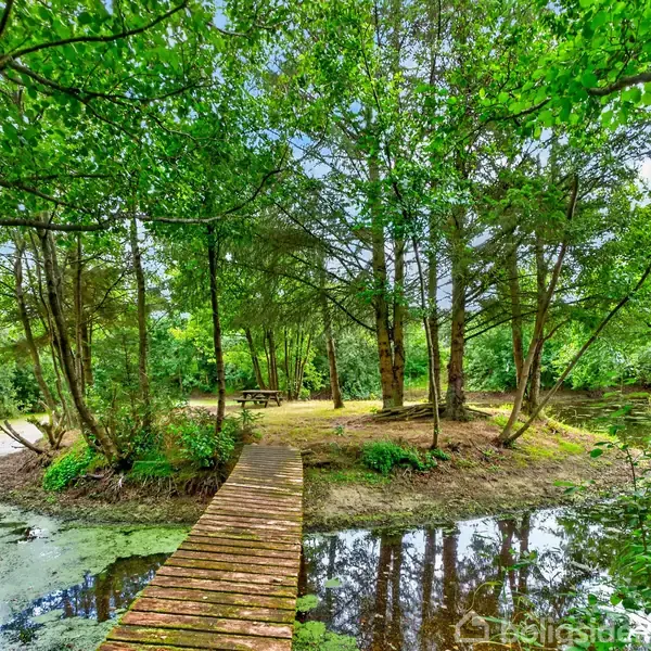 En træbro fører over en lille sø til en ø med træer og en picnicbænk, omgivet af frodig vegetation i en skovfyldt park.
