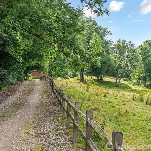 Grusvej strækker sig langs et hegn i en frodig, grøn skovlysning. Træer kaster skygger over vejen, og himlen er delvist overskyet.