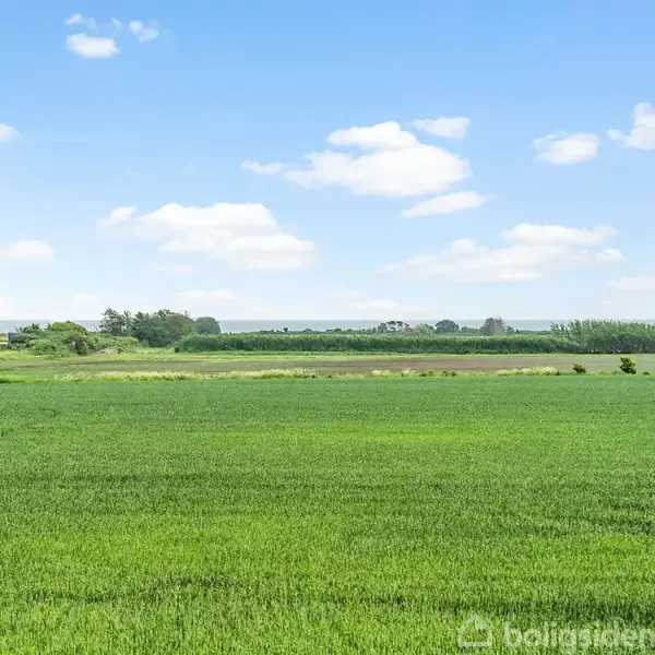 Grønt græs strækker sig over fladt landskab under blå himmel med spredte skyer. Flere træer ses i horisonten, hvilket giver en fornemmelse af et åbent, landligt område.