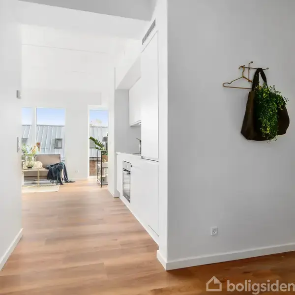 En lys gang med trægulv fører til et åbent køkken og stueområde. En grøn plante hænger på væggen. I baggrunden ses et soveværelse med en rosa seng.