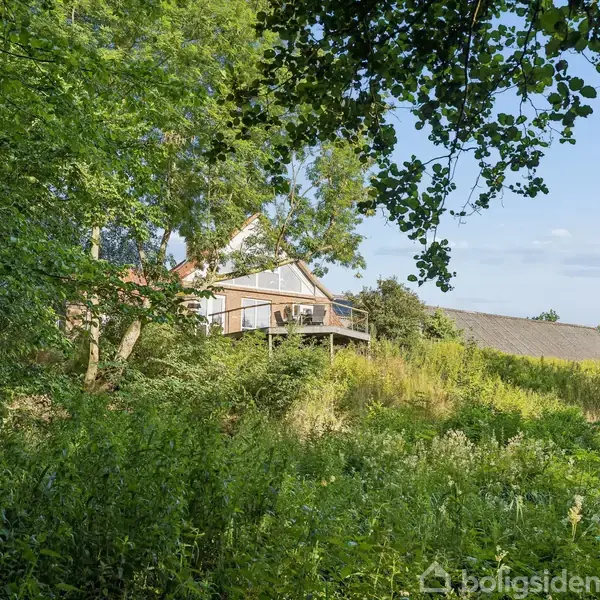 Hus med træbeklædning står stille blandt frodig vegetation i en skovklædt have, hvor solen skaber et roligt og naturskønt miljø.