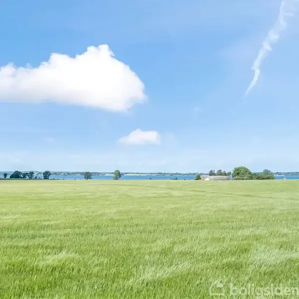En grøn mark strækker sig hen mod en sø i baggrunden under en blå himmel med få skyer.