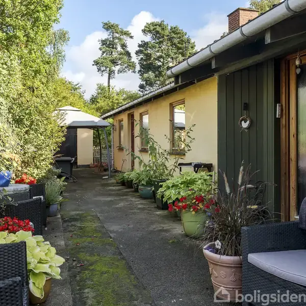 Række af krukker med planter og blomster står langs en gulmalet husmur. En smal flisebelagt sti fører til en åben parasol i baggrunden, omgivet af grønne buske.