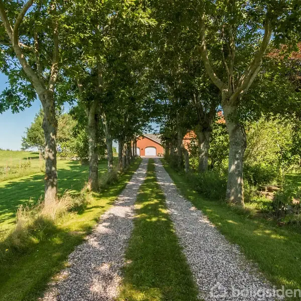 Grusvej flankeret af træer fører til en rød bygning i det fjerne. Grønne marker og buske omkranser vejen på siderne under en klar blå himmel.