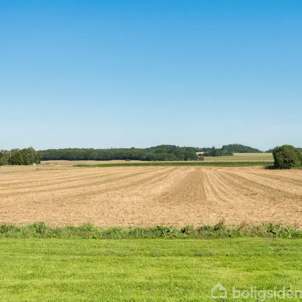 En stor mark strækker sig ud under en klar, blå himmel. I baggrunden ses træer og en bygning, der omringer det åbne landskab. Græs dækker området forrest.
