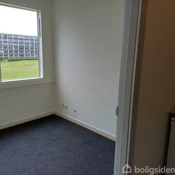 Et tomt rum med tæppebelagt gulv og et stort vindue viser en græsplæne og lejlighedsbygning. Rummet har hvidmalede vægge og en radiator under vinduet.