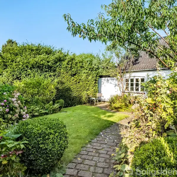 En stenbelagt sti fører gennem en frodig have med grønne buske og blomster, der omkranser et hvidt hus med sorte tagsten og et vindue i baggrunden under en klar blå himmel.
