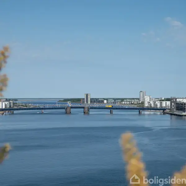 En stor bro strækker sig over en bred flod med moderne bygninger i baggrunden. Forgrundens planter slører delvist udsigten, mens himlen er klar og blå uden skyer.