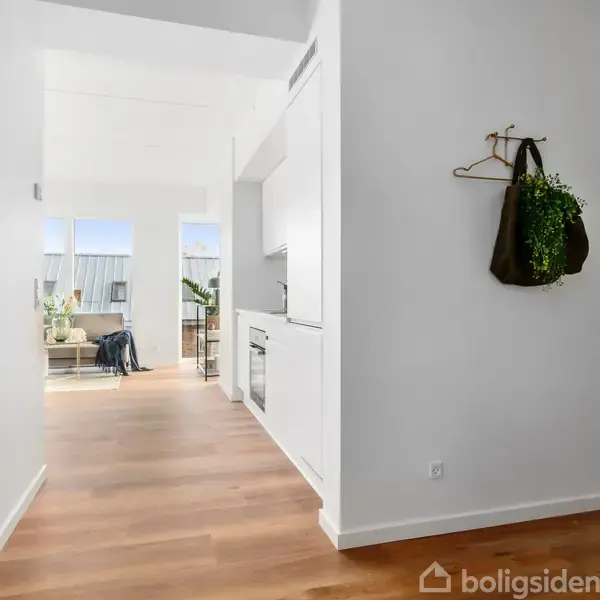 Korridor med trægulv fører til stue med store vinduer. Køkken til højre, værelse med seng til venstre. Taske med plante hænger på væggen.