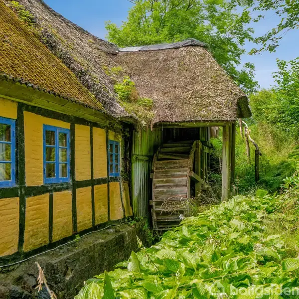 Bindingsværkshus med gule vægge og blå vinduer står stille. Det er omgivet af frodig vegetation og grønt løv, under en klar blå himmel, i en landlig, idyllisk atmosfære.