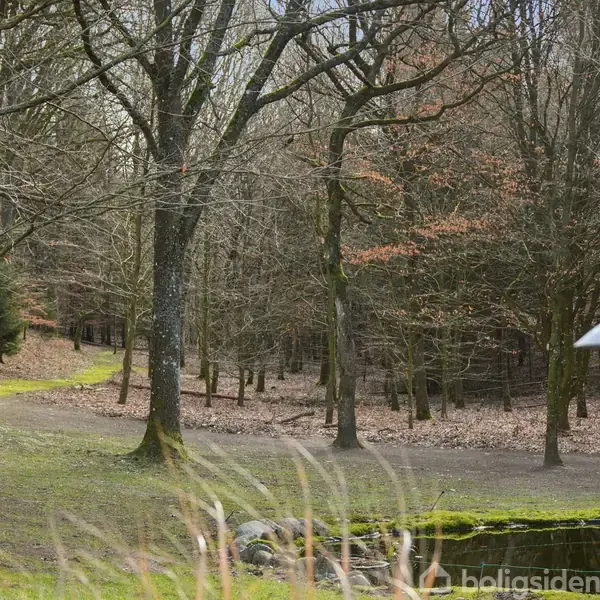 Et bord med kurvestole står på en terrasse, mens en potteplante pryder midten. Snebestrøet skovområde i baggrunden med spredte træer og lamper langs stien.