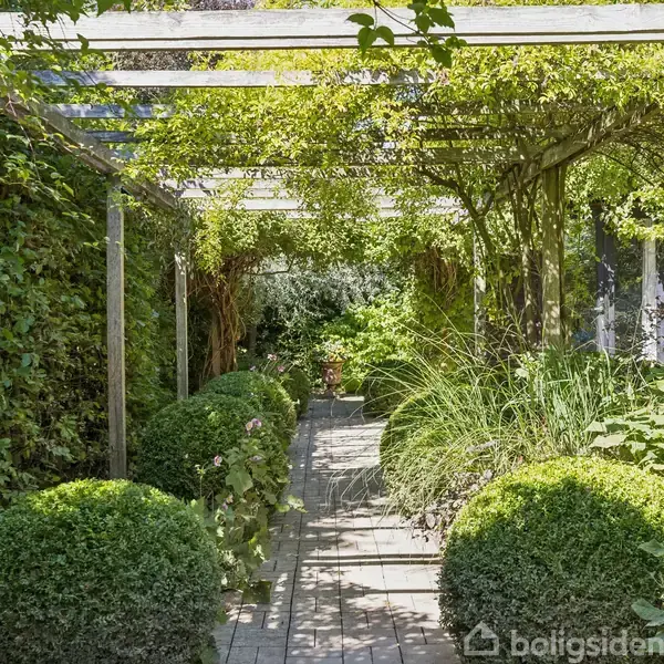 En pergola dækket af grønne planter skaber skygge over en flisebelagt sti, omgivet af velplejede buske og frodig vegetation i en privat have.