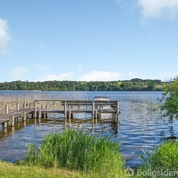 En træbro strækker sig ud i en rolig sø, omkranset af siv og grønne buske, med en skovklædt kystlinje i baggrunden under en blå himmel.