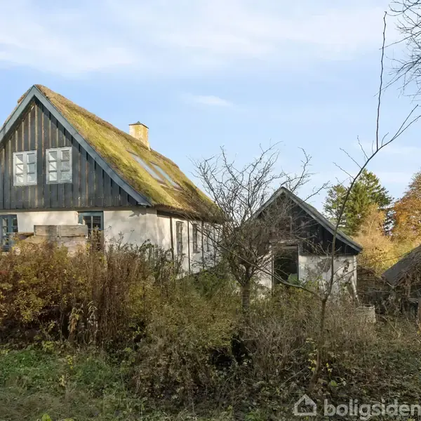 Et gammelt hus med stråtækt tag står omgivet af buske og træer. To døre og to vinduer er synlige. Solrig dag med let blå himmel.