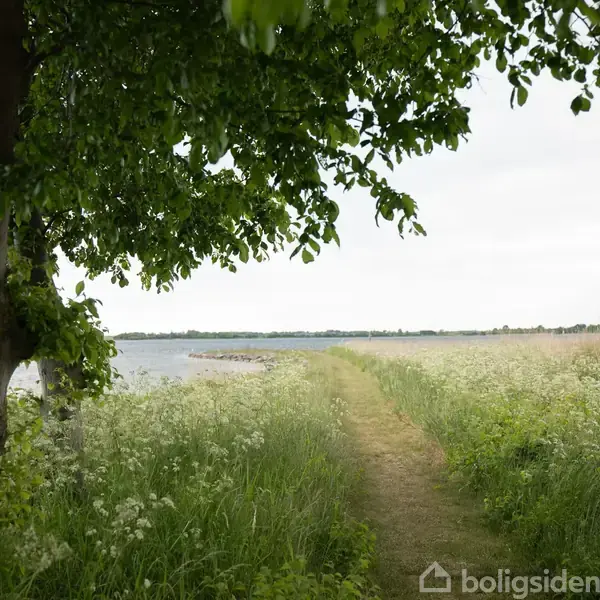 Hav og græs er stille beliggende ved kysten under en solrig himmel. Græsset i forgrunden leder blikket ud mod det rolige vandområde og den lave horisont.