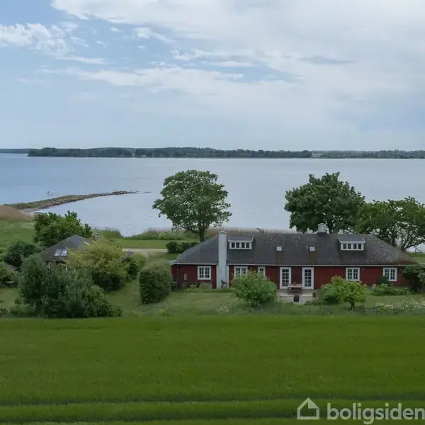 Kystlinje med rolige bølger. Høje græsser og planter vokser i forgrunden. I baggrunden ses en ø eller halvø med træer og en klar blå himmel.