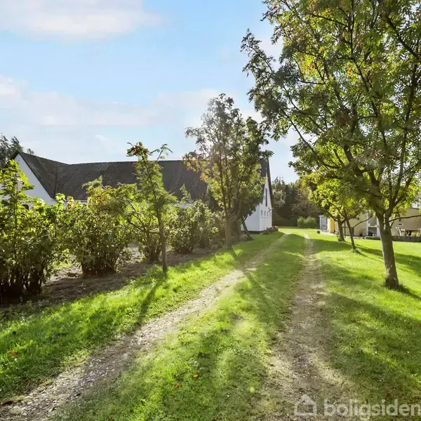 En grusvej snor sig gennem en frodig have omgivet af buske og træer, der fører til et hvidt hus i baggrunden på en solrig dag.