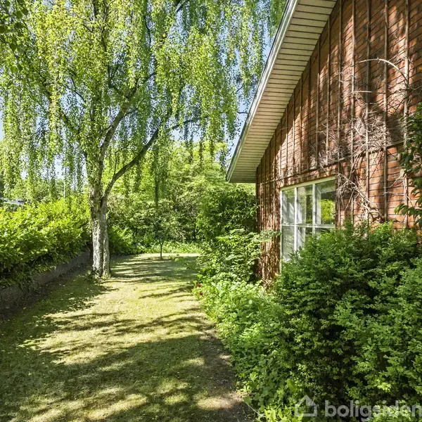 Træ ved siden af en murstensbygning, kaster skygger på en græsklædt sti. Omgivet af frodig vegetation og tæt hæk i solrig have.