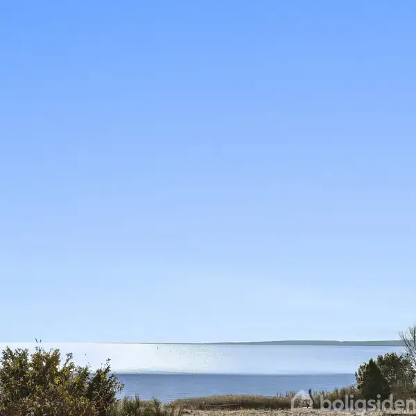 Havudsigt med klart blå himmel og stille vand i baggrunden. I forgrunden ses buske og træer.