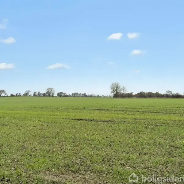 Grøn mark strækker sig under en blå himmel med få skyer, omgivet af spredte træer i horisonten.