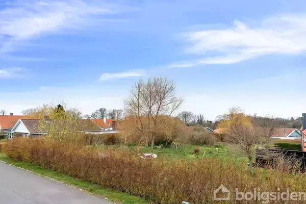 Flere træer står i en grøn have, omgivet af en sti og nogle huse med røde tage, under en blå og let skyet himmel.