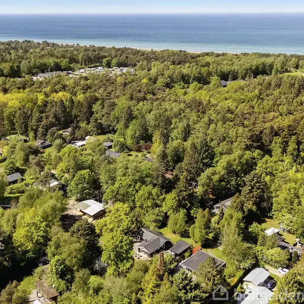 Boliger ses fra luften omgivet af tæt skov. I baggrunden breder havet sig ud, og horisonten er tydelig under en klar himmel.