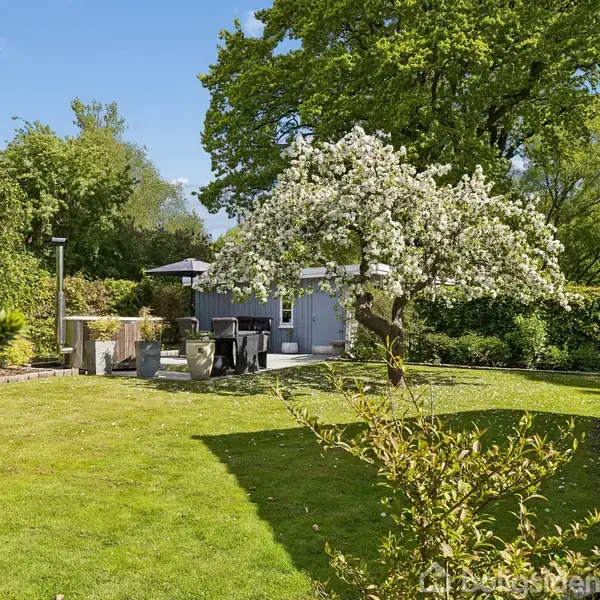 Et blomstrende træ står i en velplejet have med en grøn græsplæne. Omkring træet er der tæt buskads og hække. Huset kan ses til højre i billedet.