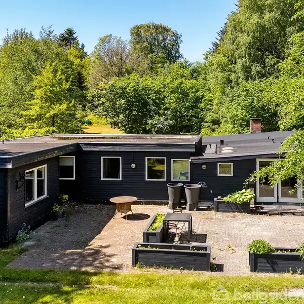 Et sortmalet hus med fladt tag står omgivet af frodig skov. Der er en gårdhave med nogle planter og borde, der giver naturlig atmosfære i det rolige, grønne område.