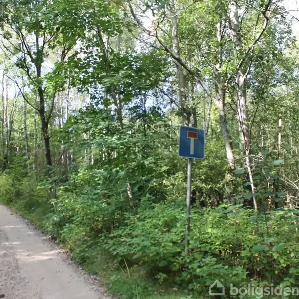 Stilstandsskilte viser en blind vej midt i en skovrig natur omgivet af tætte træer og buske langs en grusvej.