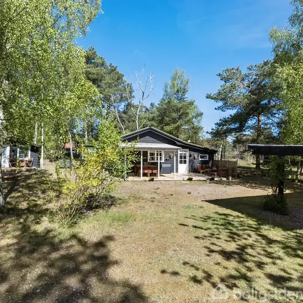 Et sommerhus står omgivet af frodig skov. Den lyseblå himmel og solen kaster skygger på grunden. Til højre ses en carport, til venstre et udendørs opholdsområde.