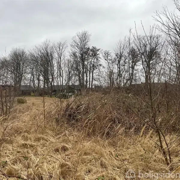 Tørt græs fylder forgrunden, mens nøgne træer står i baggrunden. En bygning ses til venstre, alt under en overskyet himmel.