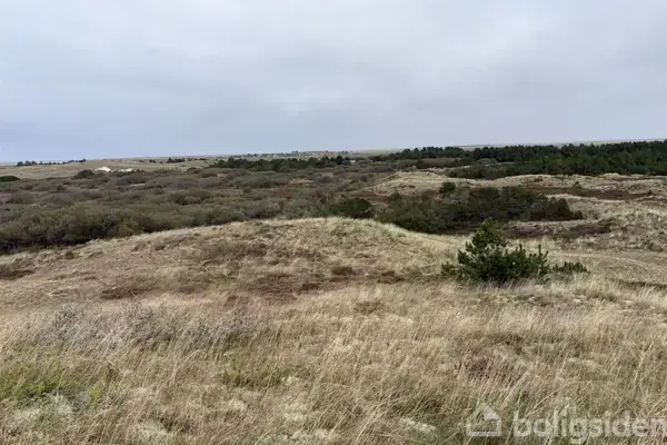 Planteavlsgård/-jord på Vesterhavsvej 322A, 6830 Nørre Nebel