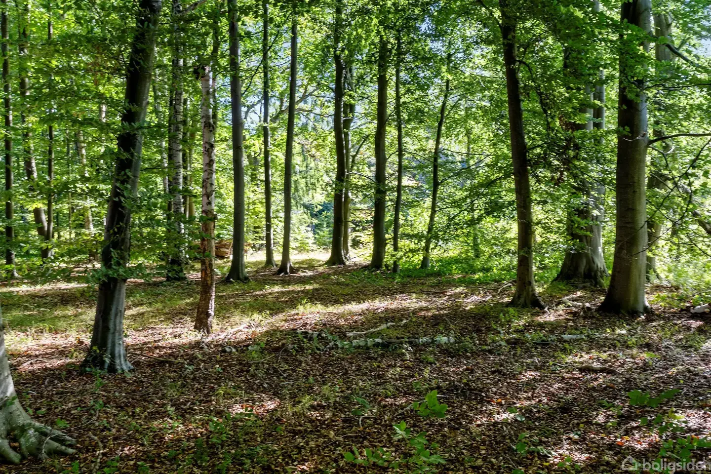 Fritidsgrund på Knarbo Mose 3, 4540 Fårevejle