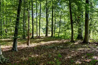 Fritidsgrund på Knarbo Mose 3, Kårup Skov, 4540 Fårevejle