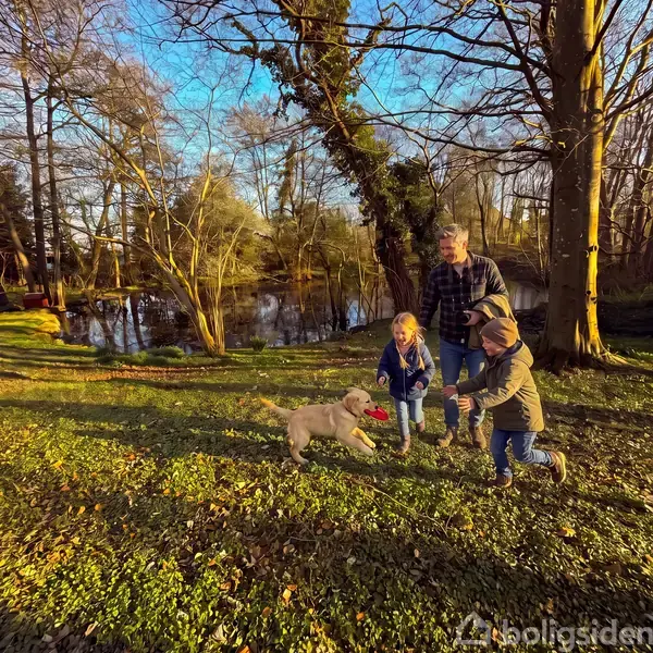 En hund løber med en rød frisbee i munden. To børn og en voksen ser på og leger sammen, omringet af træer nær en sø i en skovlysning.