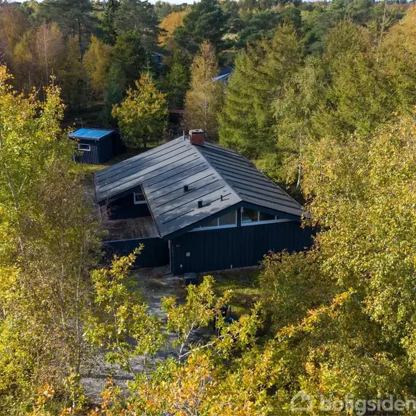 Et sort hus omgivet af tætte træer og skovbevoksning på en solrig dag. Træernes grønlige og gyldne blade skaber en naturlig ramme om huset.