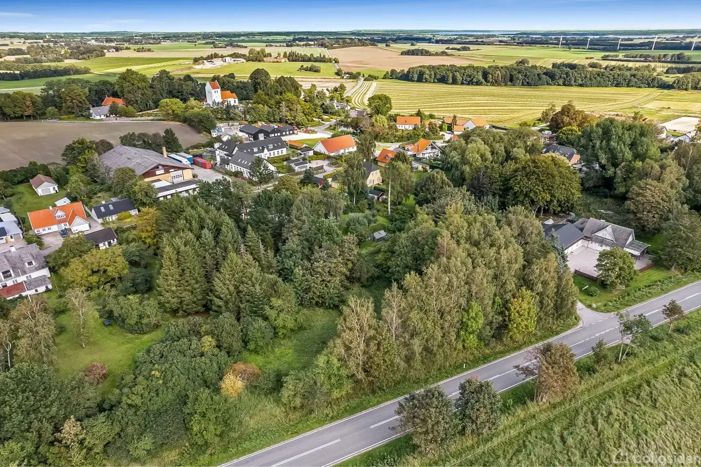 Byggegrund i idylliske og naturskønne Rye - Visning 3