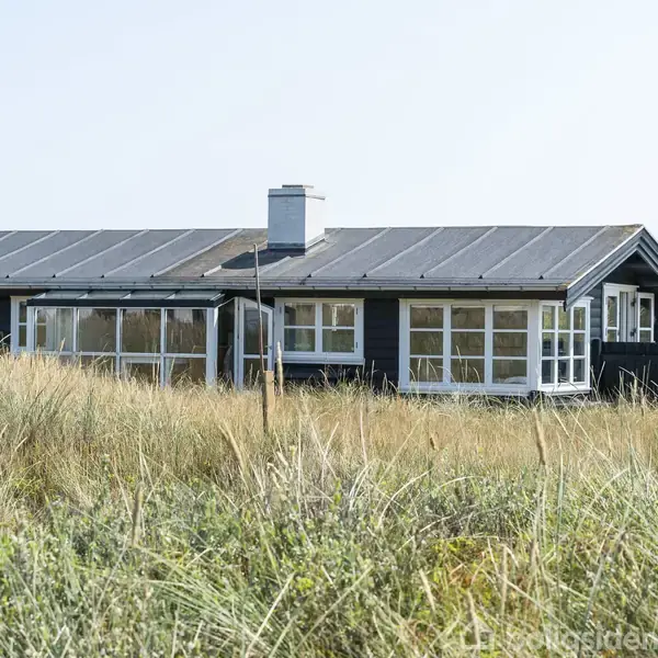 Et sort sommerhus med murede vinduer står stille omgivet af høje siv og græs, der vokser tæt op til bygningen. Himmel er lys og klar.