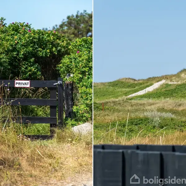 Græsbeklædt klit skråner opad, omkranset af grøn vegetation og en klar blå himmel i baggrunden. En lys sandsti snor sig gennem landskabet.