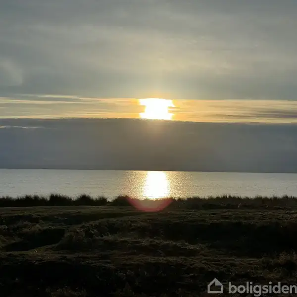 Solnedgang reflekteres over havet. Silhuet af en person ses mod horisonten. Græs og buske i forgrunden skaber en naturlig ramme i det dæmpede lys.