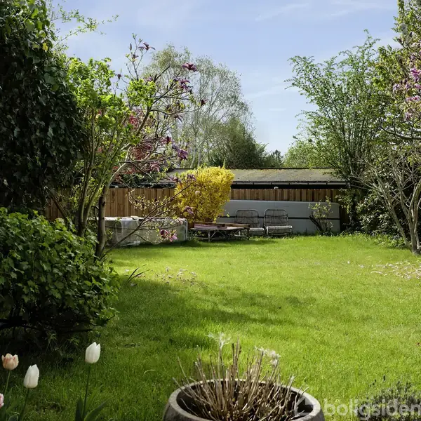 En frodig have med grøn græsplæne omgivet af blomstrende træer og buske. Havemøbler er placeret bagerst i haven. Solrigt vejr skaber en lys og venlig atmosfære.