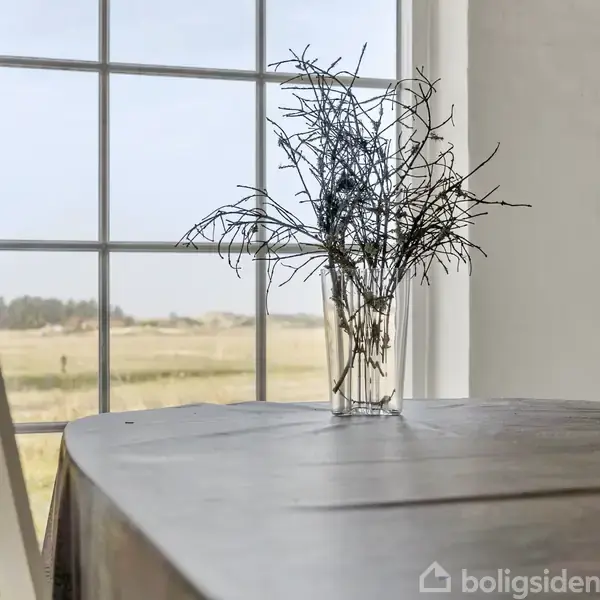 En vase med tørrede grene står på et træbord foran et vindue. Udsigten udenfor viser et landskab med marker og blå himmel.