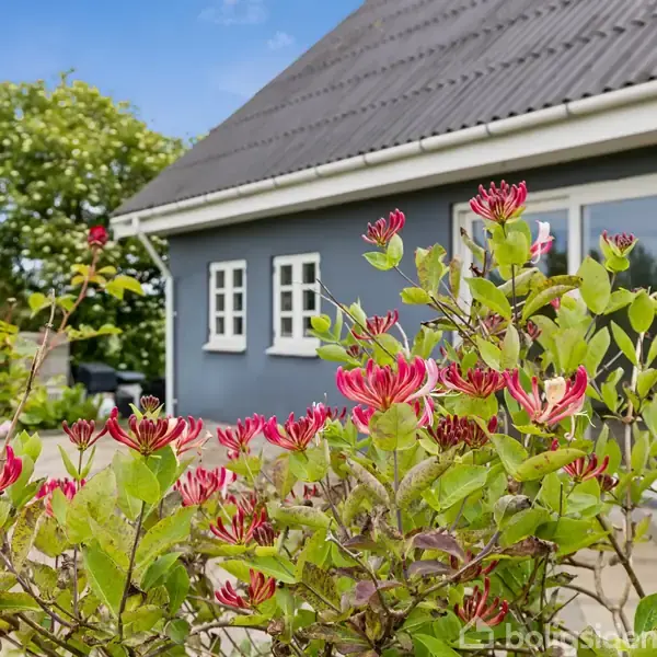 Blomster i forgrunden med røde blomster og grønne blade pryder en have foran et moderne blågråt hus med hvide vinduer og glastage, omgivet af frodigt grønt løv.